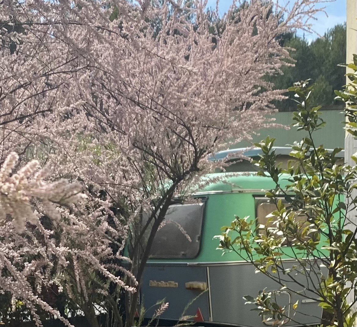 Décor Caravane
